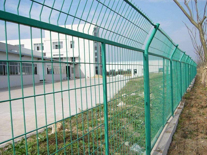 ����o�ھW���bЧ���D