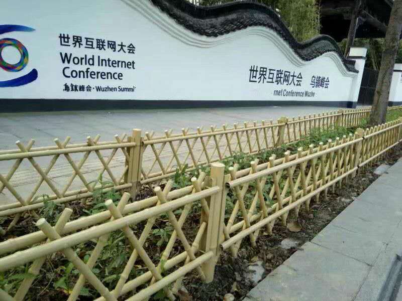 �����o��